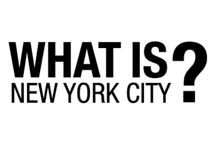 what is new york city